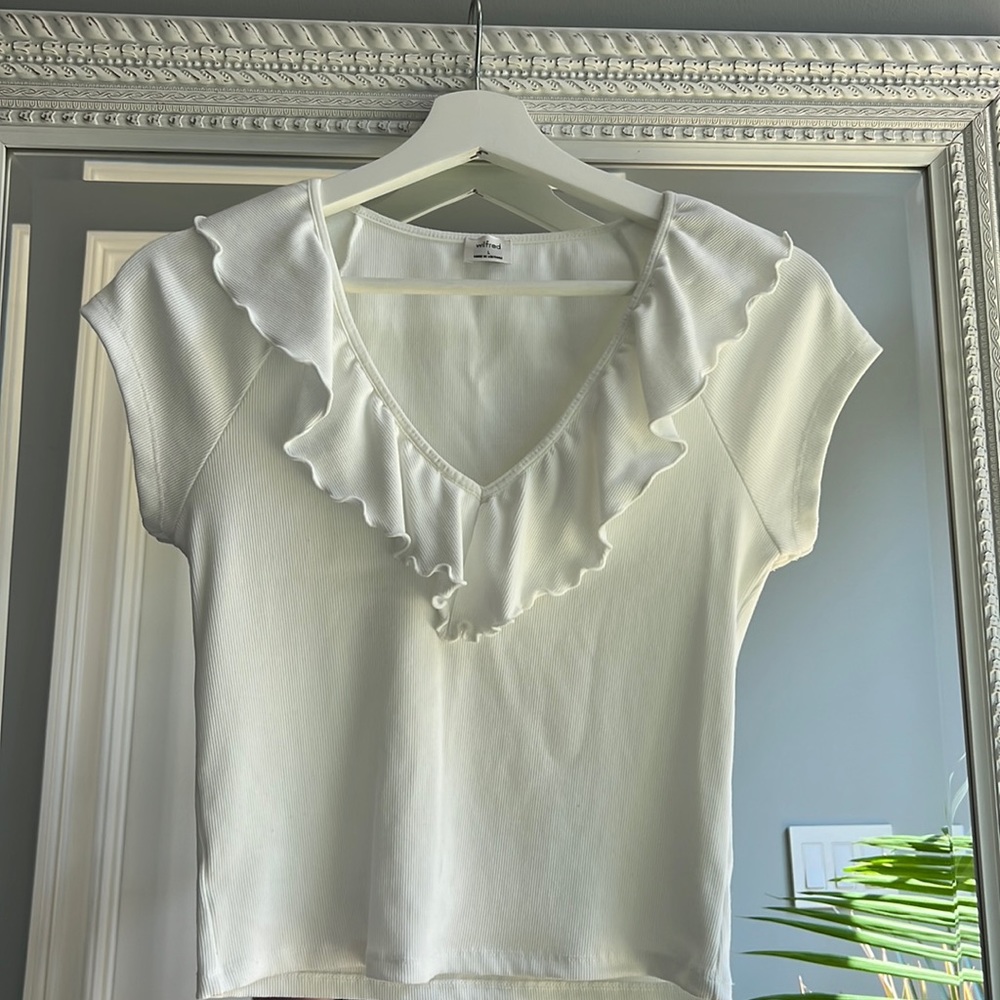 Aritzia Top